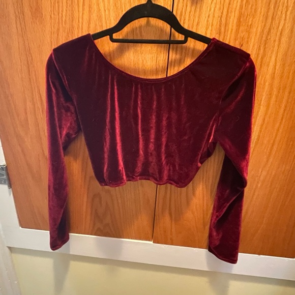 L Rose Designs Top size L Burgundy Velvet - Picture 2 of 4